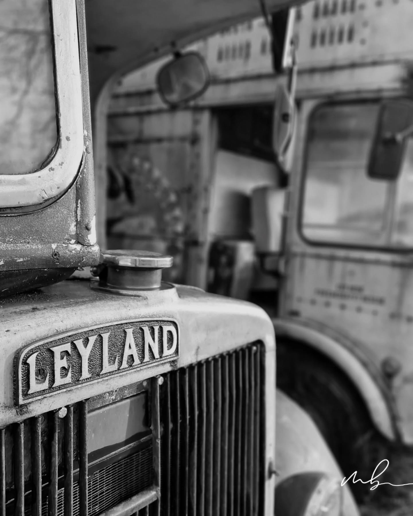 Where metal remembers.

Three forgotten  buses, slowly dissolving into silence.

Grain instead of pixels.
Dust instead of polish.
Stories instead of speed.

There’s something about abandoned places that digital can’t fake. The mystery, the stillness, the feeling that time stopped but never really left.