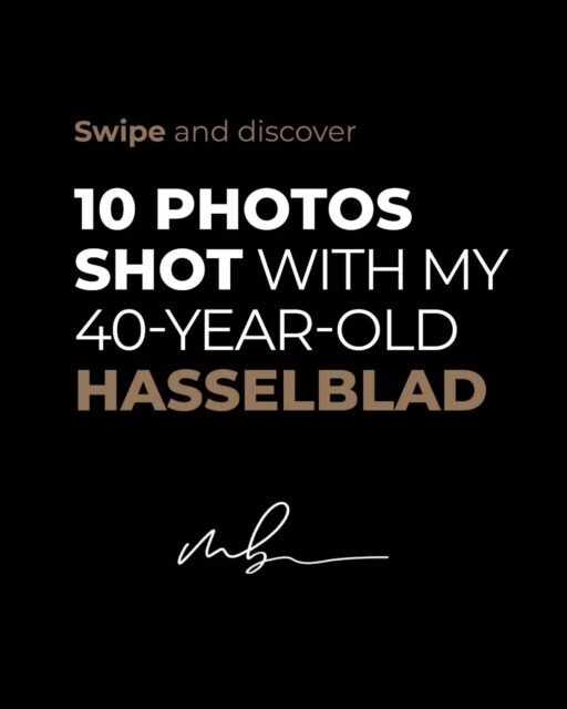 What happens when you take a 40-year-old Hasselblad out for a shoot?
These 10 photos were shot with my vintage Hasselblad. There’s still something about medium format photography that digital just can’t quite replicate. The slower process, the character, the detail… and of course, not knowing exactly what you’ve got until weeks later.
And then I realized… I’m actually older than this camera! So technically, the Hasselblad isn’t the only vintage piece involved in this shoot. 😅
Anyway... which photo is your favorite, 1 to 10?
Drop the number below 👇